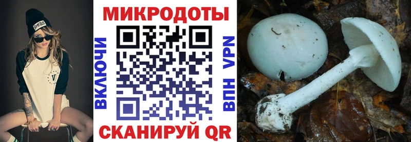 Псилоцибиновые грибы GOLDEN TEACHER  Донской 